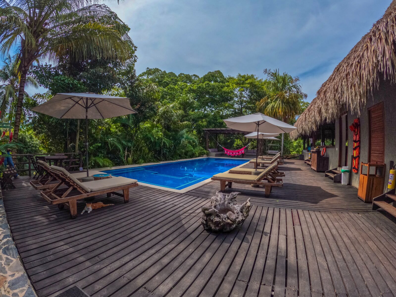 Pool deck with sun loungers
