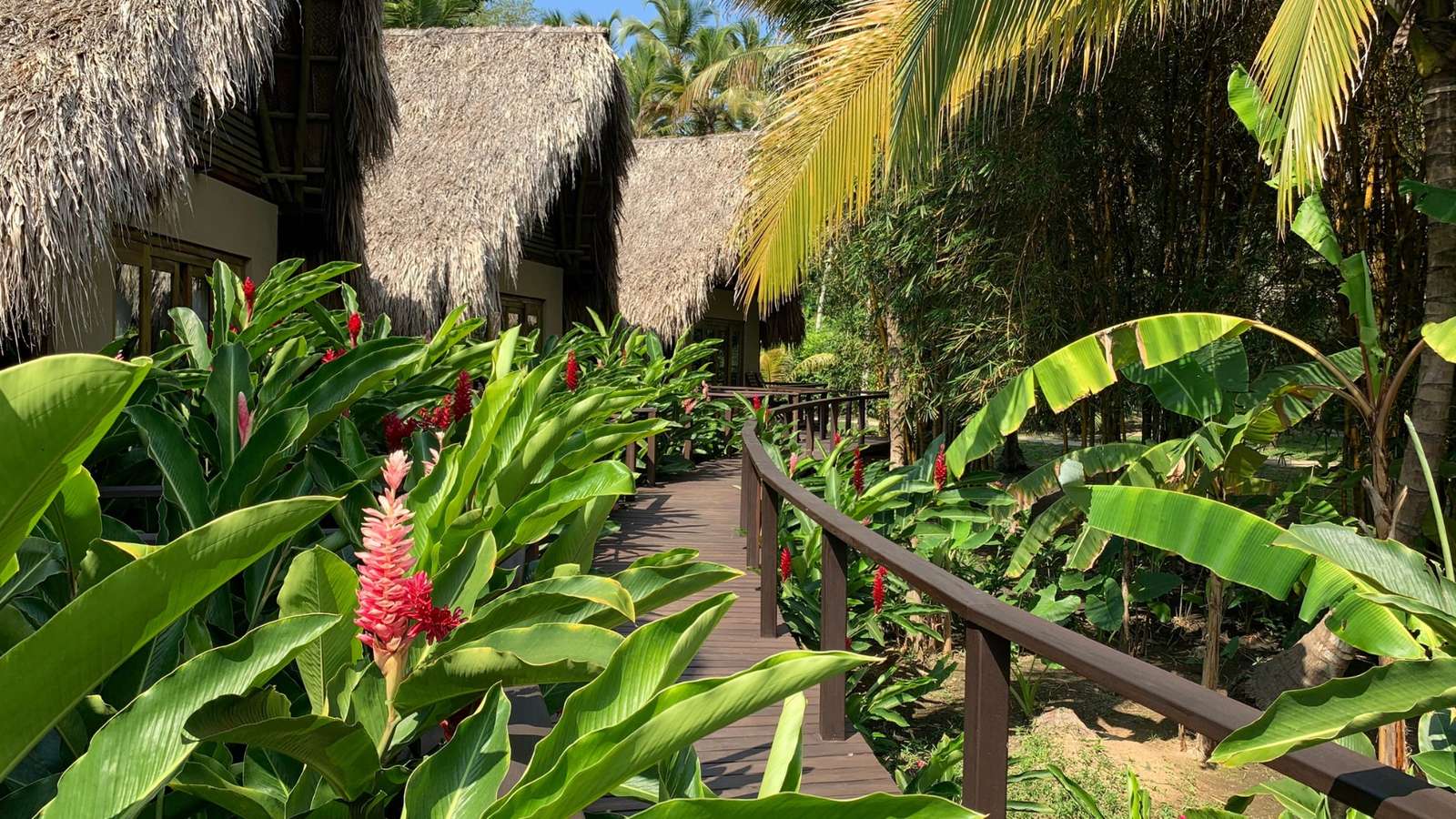 Tropical gardens