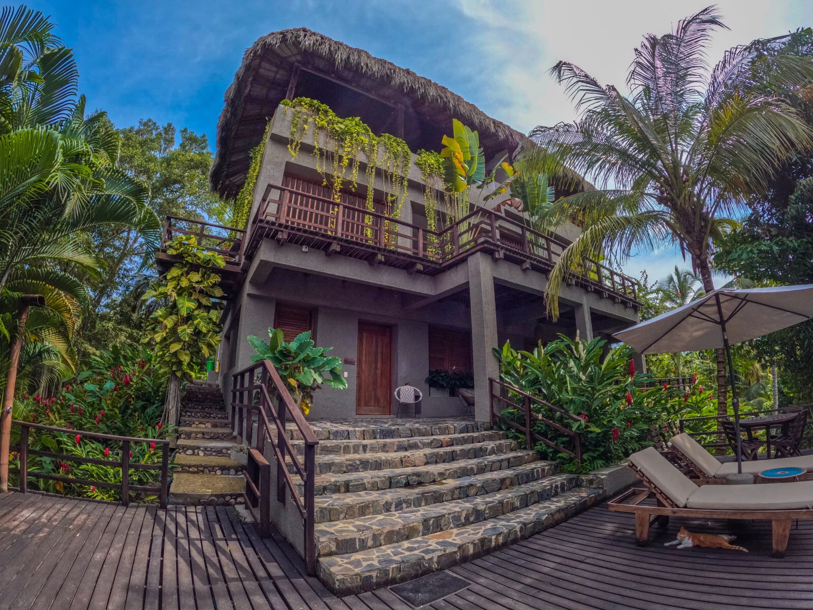 The house and its stone steps