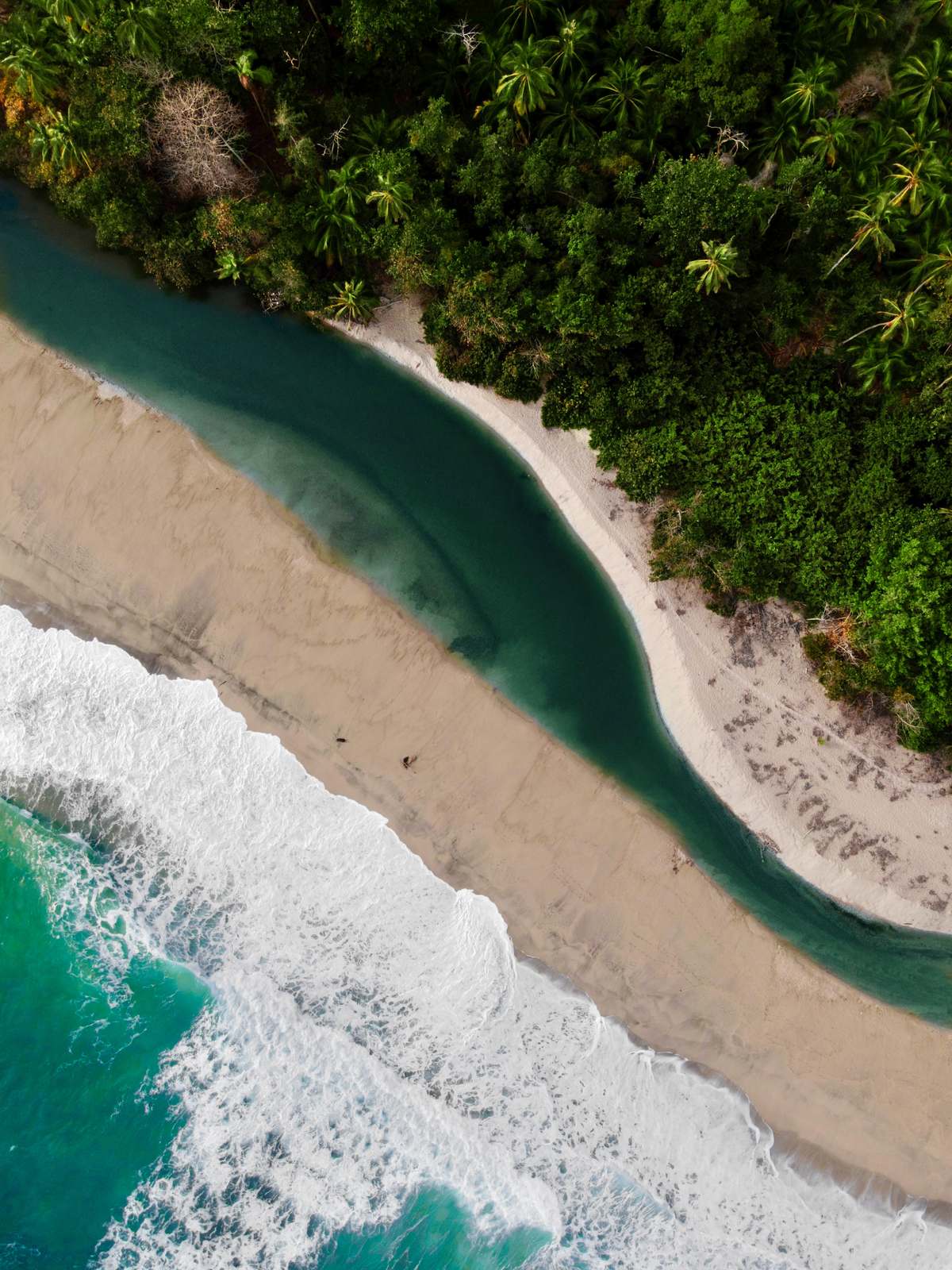 Là où le Río Piedra rejoint la mer des Caraïbes