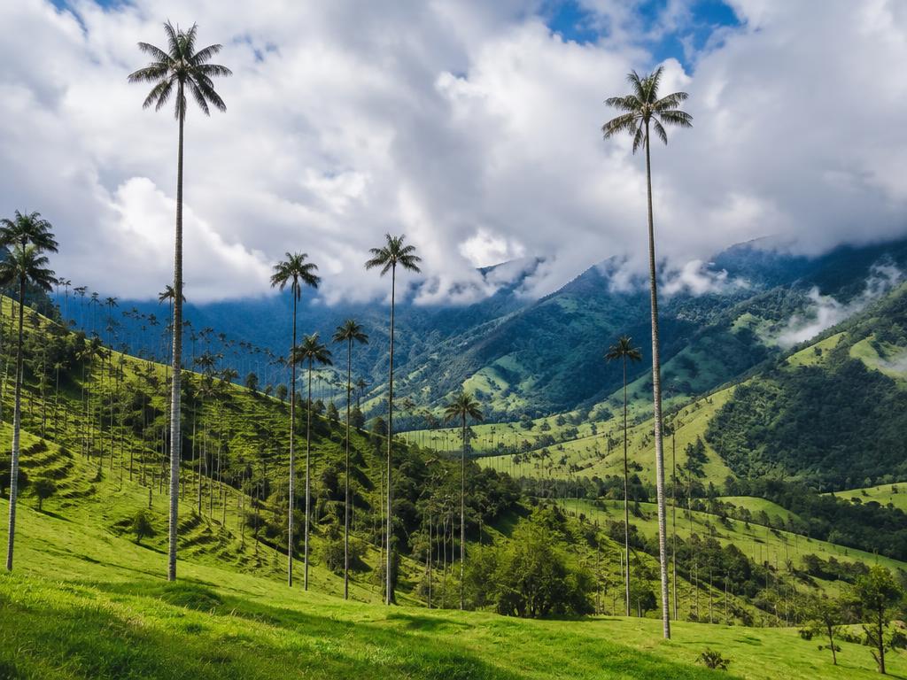 Colombia on Foot — Medellín, Colombia