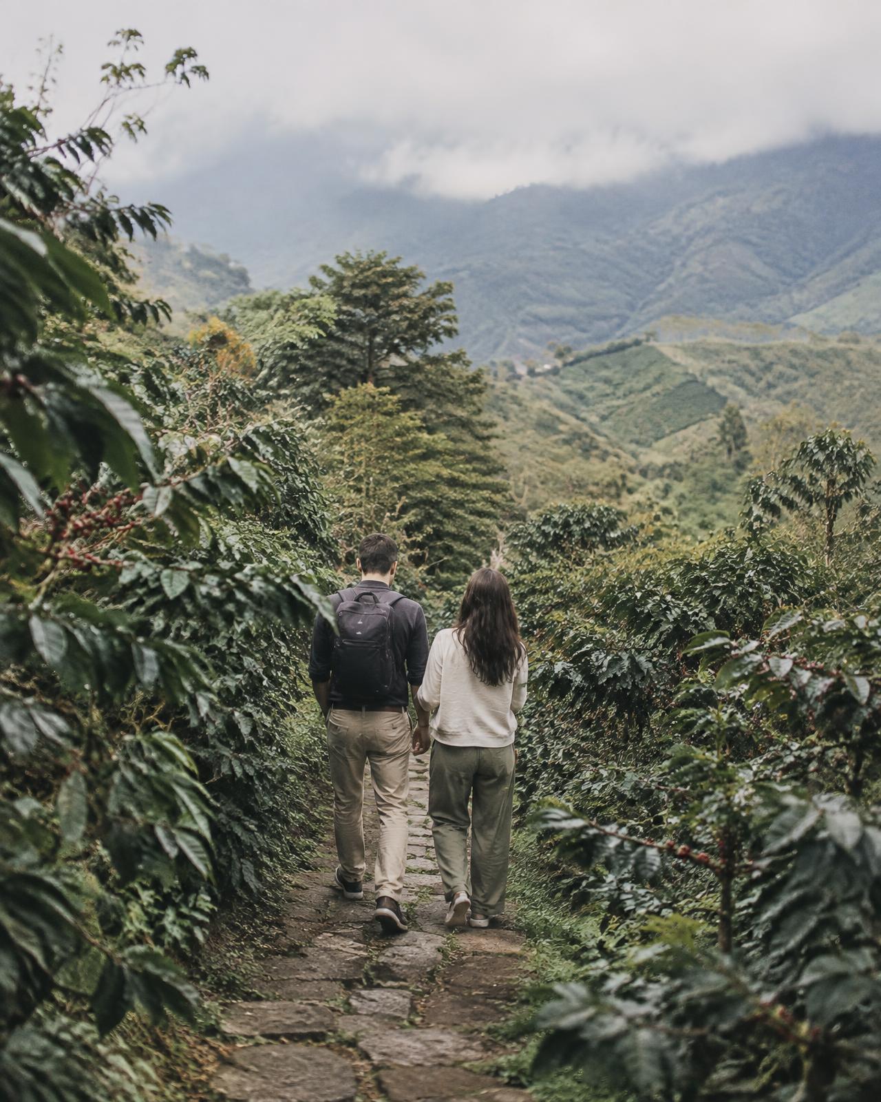 A tailor-made journey through Colombia